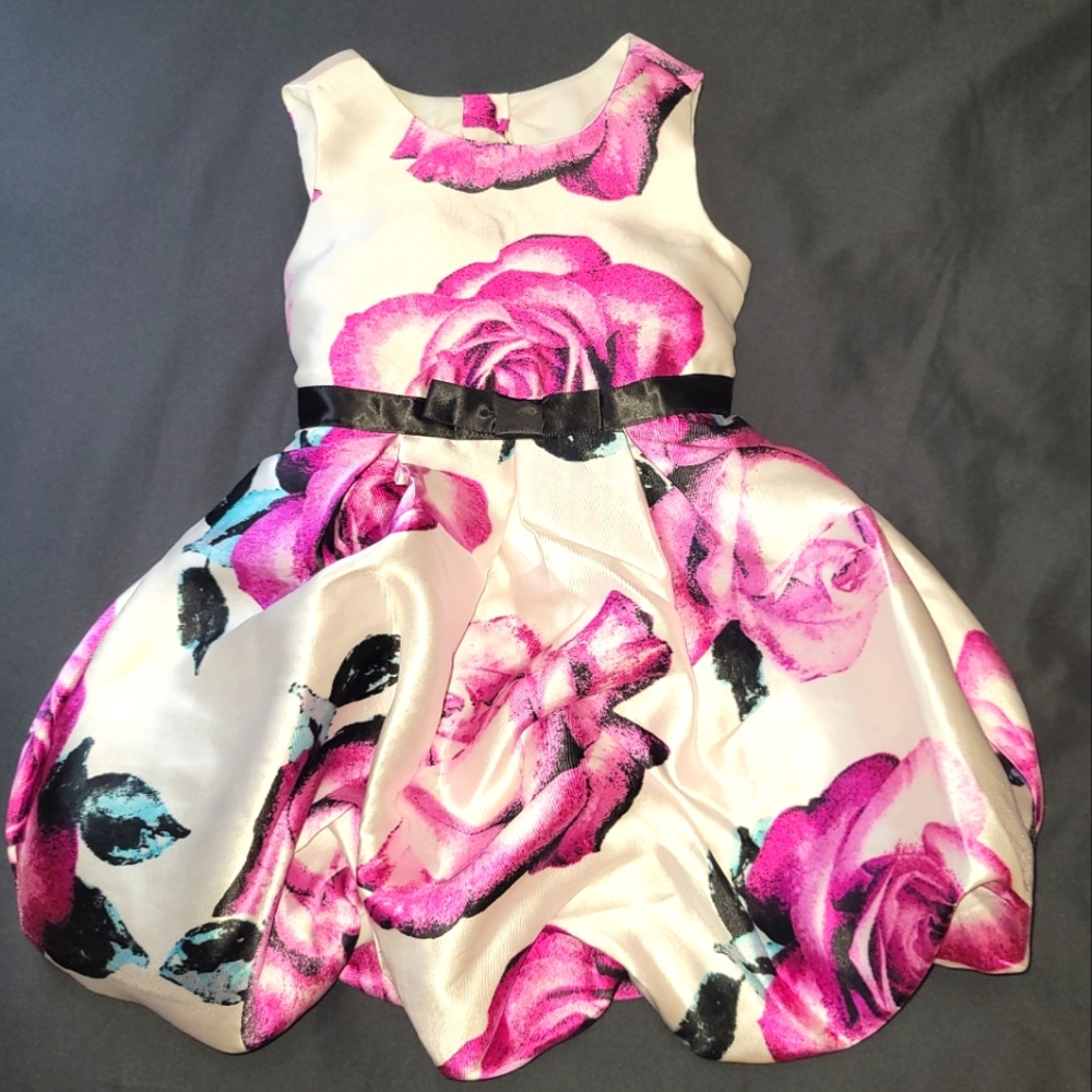 Adorable little girls dress